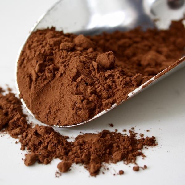 Какао порошок Cacao BARRY 100% какао, 22-24%, 500 г