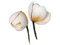 Цветы из мастики Тюльпан чайный 4,5 см, 2 штуки