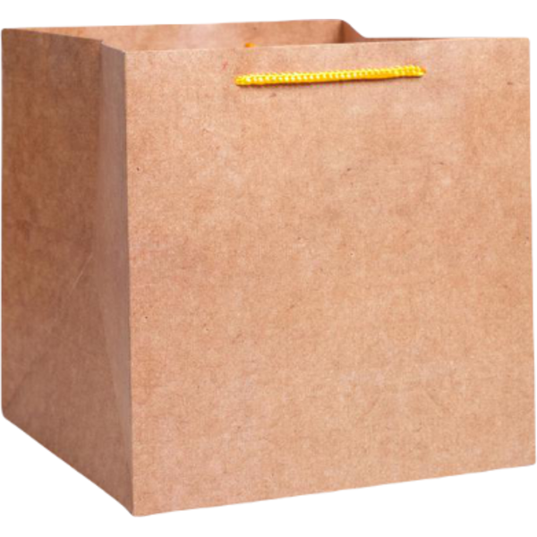 Пакет для торта Крафт, 30 × 30 × 30 см