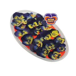 Виола обезвоженная Gold sapphire - Золотой сапфир, 20 шт