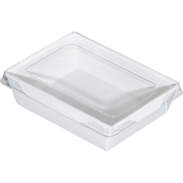 Коробка для салатов / десертов / суши с крышкой 500 мл, 140 x 105 x 45 мм, белая/белая